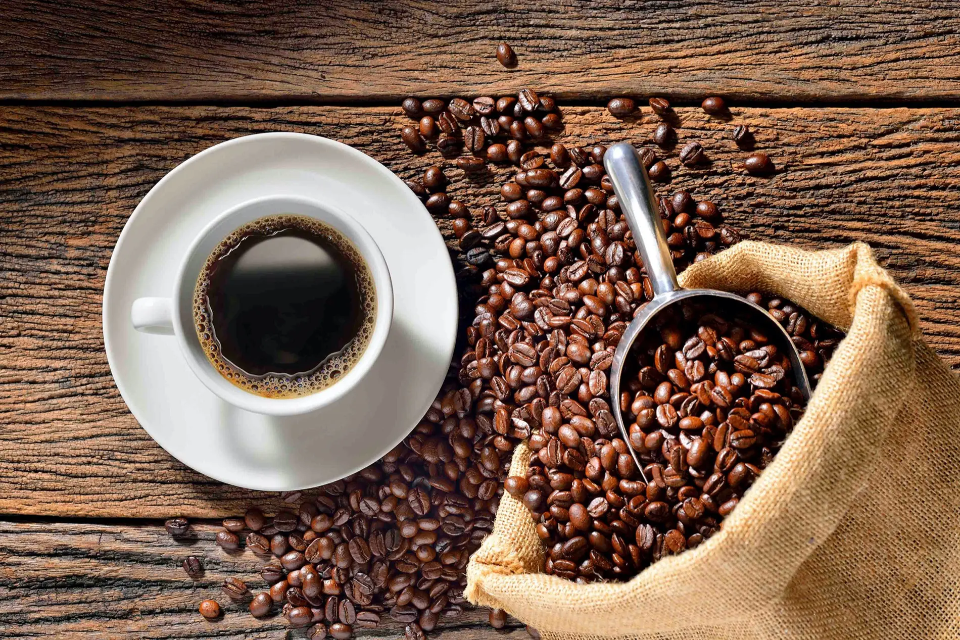 Slider granos de café taza mesa café a granel Madrid Barcelona España Valencia Sevilla Majadahonda