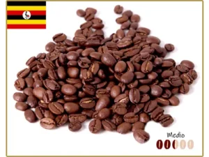 Café granel en grano Uganda Monte Rwenzori madrid spain valencia bilbao barcelona la rioja calle alcala