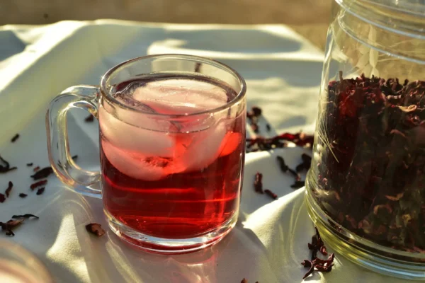 tienda online te verde te negro rooibos cual elegir tetera y vaso madrid spain barcelona valencia mallorca canarias