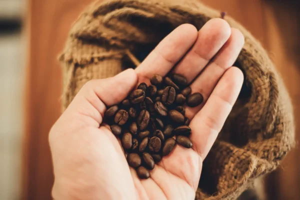 café en grano granel sabe mejor madrid spain barcelona valencia sevilla atocha barajas recoletos tienda online
