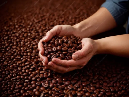 Cafe en grano barato tienda online spain madrid guindalera las castellana barcelona valencia